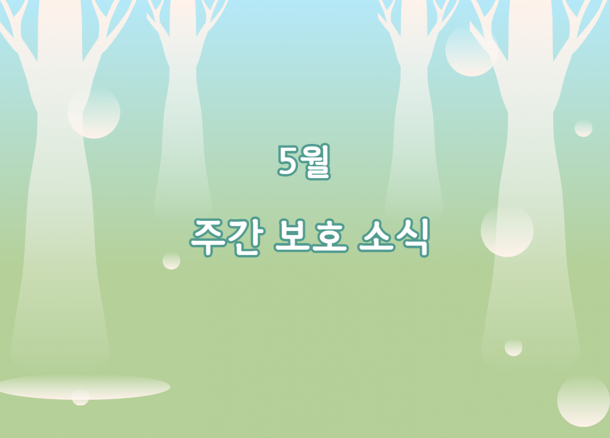 636ca88216d4426dd093603c75751f01_1780039840_4951.png