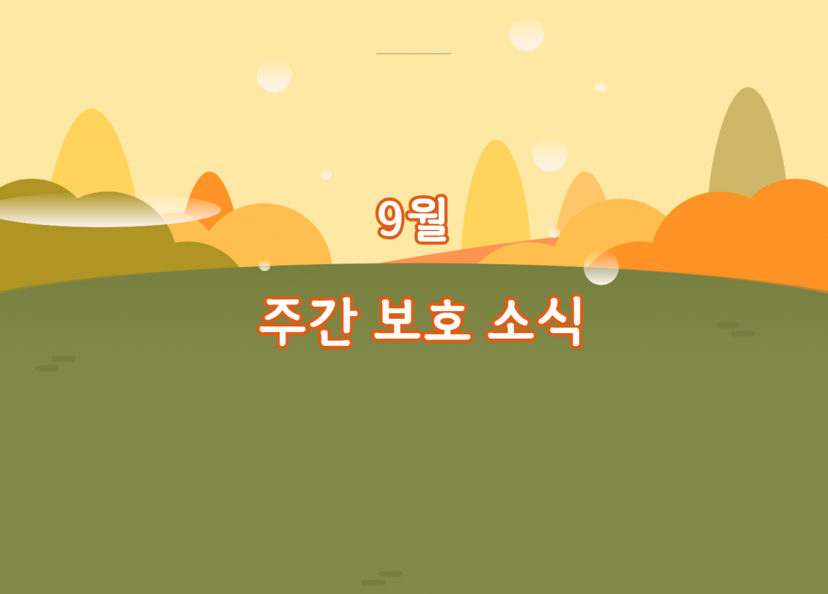 475f8de0bb6e770b73ae4f13f7a44f4f_1790641985_5657.png